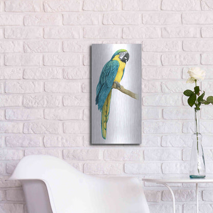 Luxe Metal Art 'Teal Macaw I' by Grace Popp, Metal Wall Art,12x24