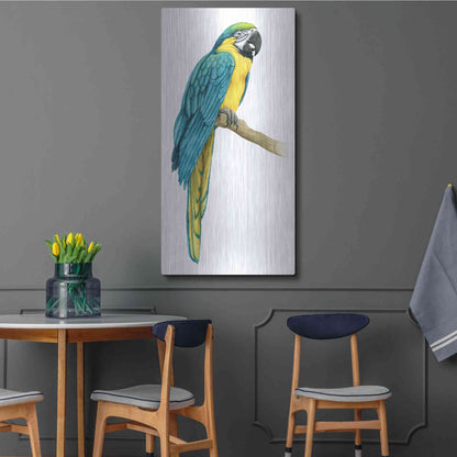 Luxe Metal Art 'Teal Macaw I' by Grace Popp, Metal Wall Art,24x48