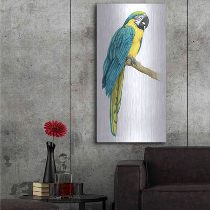 Luxe Metal Art 'Teal Macaw I' by Grace Popp, Metal Wall Art,24x48