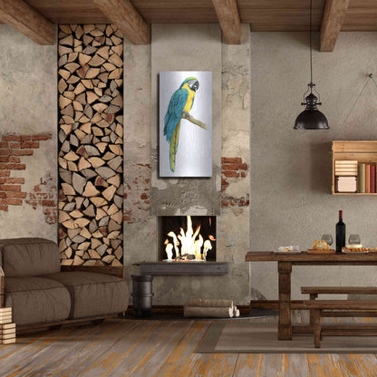Luxe Metal Art 'Teal Macaw I' by Grace Popp, Metal Wall Art,24x48