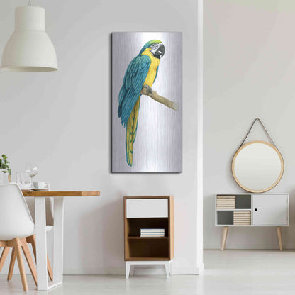 Luxe Metal Art 'Teal Macaw I' by Grace Popp, Metal Wall Art,24x48