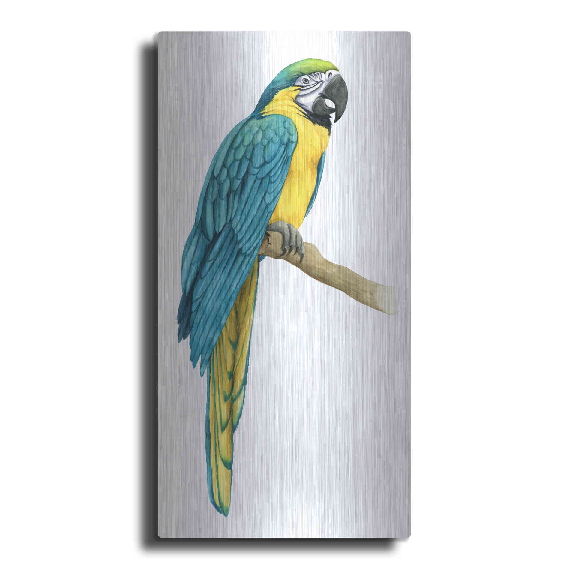 Luxe Metal Art 'Teal Macaw I' by Grace Popp, Metal Wall Art