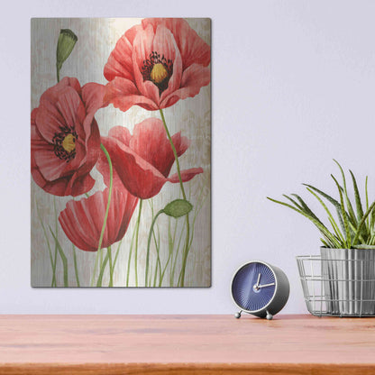 Luxe Metal Art 'Poised Poppy I' by Grace Popp, Metal Wall Art,12x16