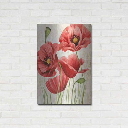 Luxe Metal Art 'Poised Poppy I' by Grace Popp, Metal Wall Art,24x36