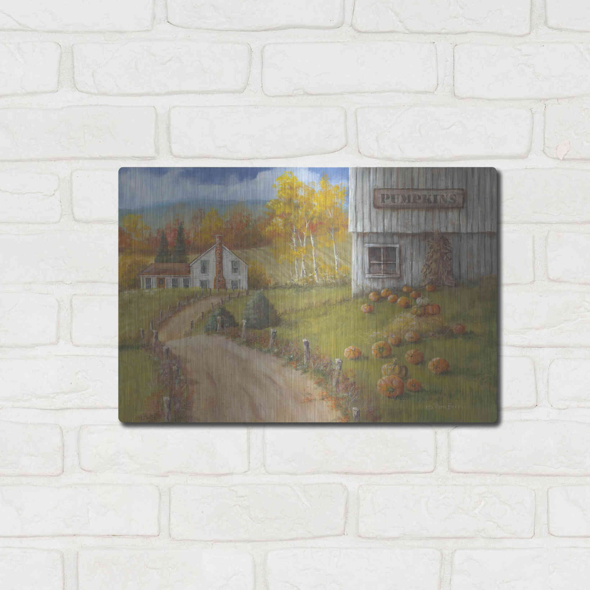 Luxe Metal Art 'Harvest Pumpkin Farm' by Pam Britton, Metal Wall Art,16x12