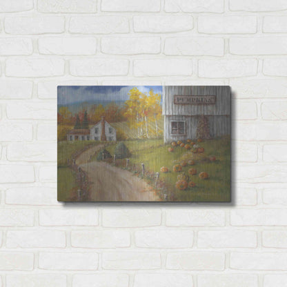 Luxe Metal Art 'Harvest Pumpkin Farm' by Pam Britton, Metal Wall Art,24x16