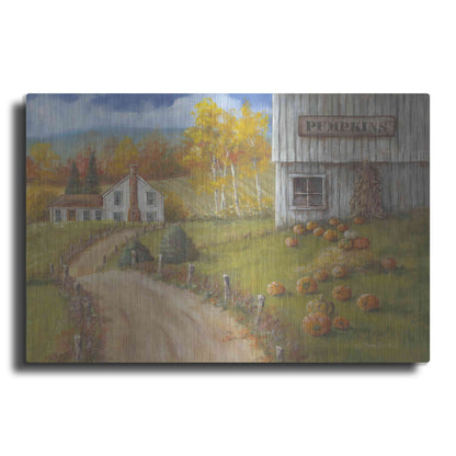 Luxe Metal Art 'Harvest Pumpkin Farm' by Pam Britton, Metal Wall Art