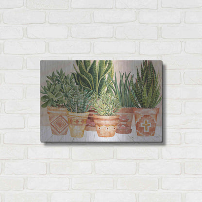 Luxe Metal Art 'Aztec Potted Plants' by Cindy Jacobs, Metal Wall Art,24x16