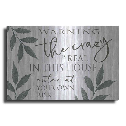 Luxe Metal Art 'The Crazy Is Real' by Cindy Jacobs, Metal Wall Art