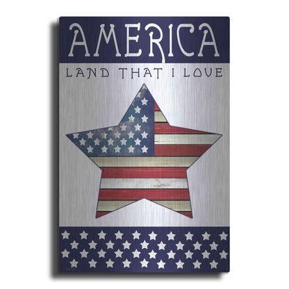 Luxe Metal Art 'Land That I Love Star' by Cindy Jacobs, Metal Wall Art