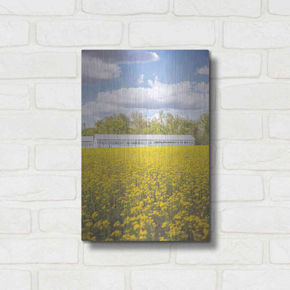 Luxe Metal Art 'Field Of Yellow I' by Donnie Quillen, Metal Wall Art,12x16