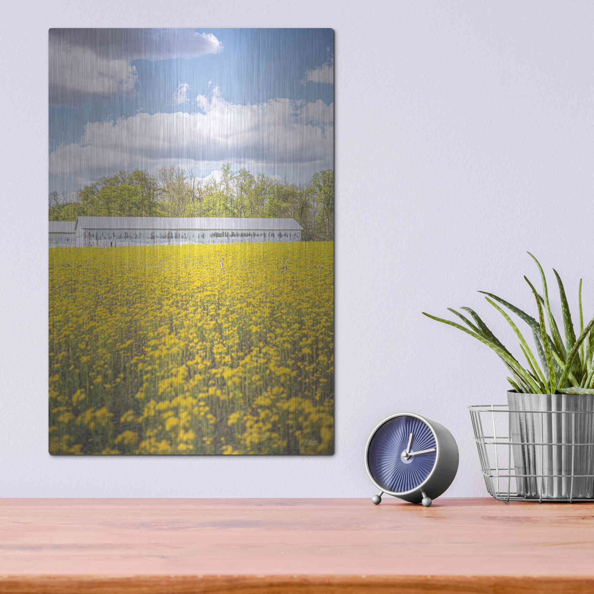 Luxe Metal Art 'Field Of Yellow I' by Donnie Quillen, Metal Wall Art,12x16