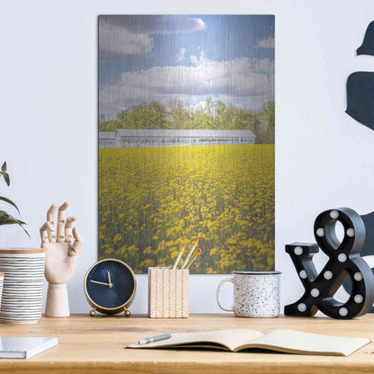 Luxe Metal Art 'Field Of Yellow I' by Donnie Quillen, Metal Wall Art,12x16