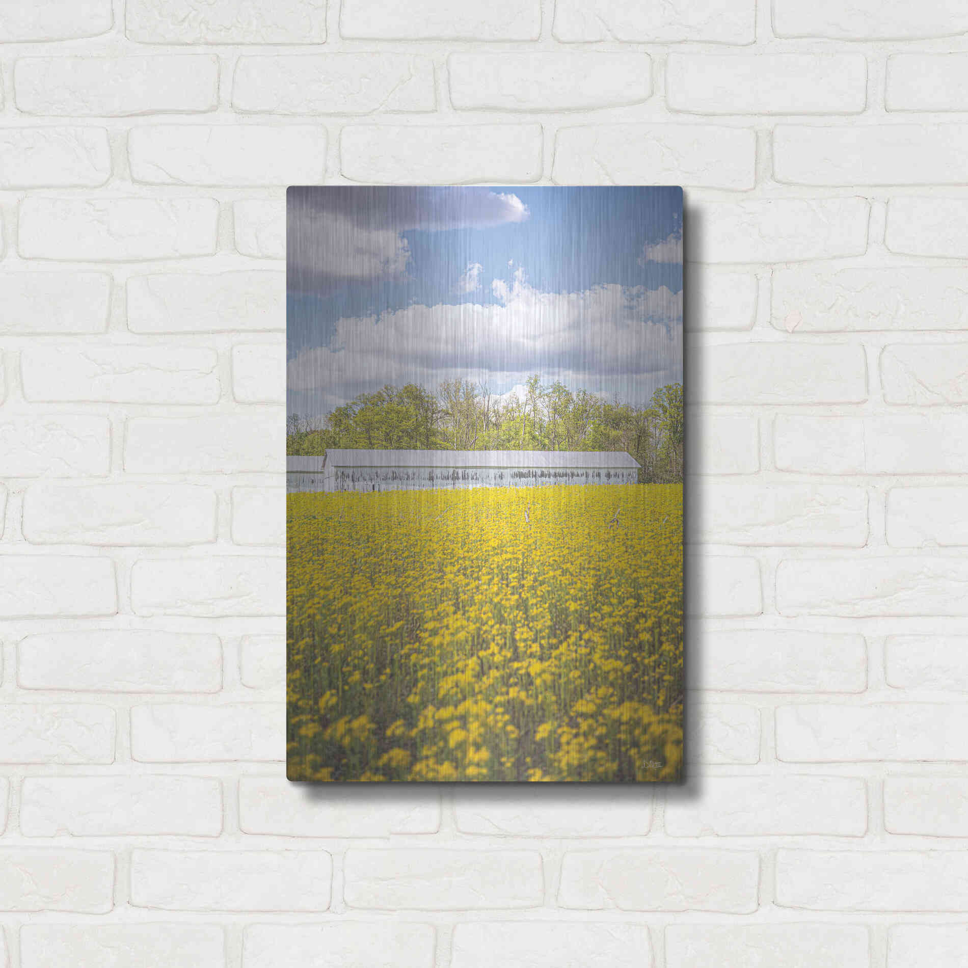 Luxe Metal Art 'Field Of Yellow I' by Donnie Quillen, Metal Wall Art,16x24