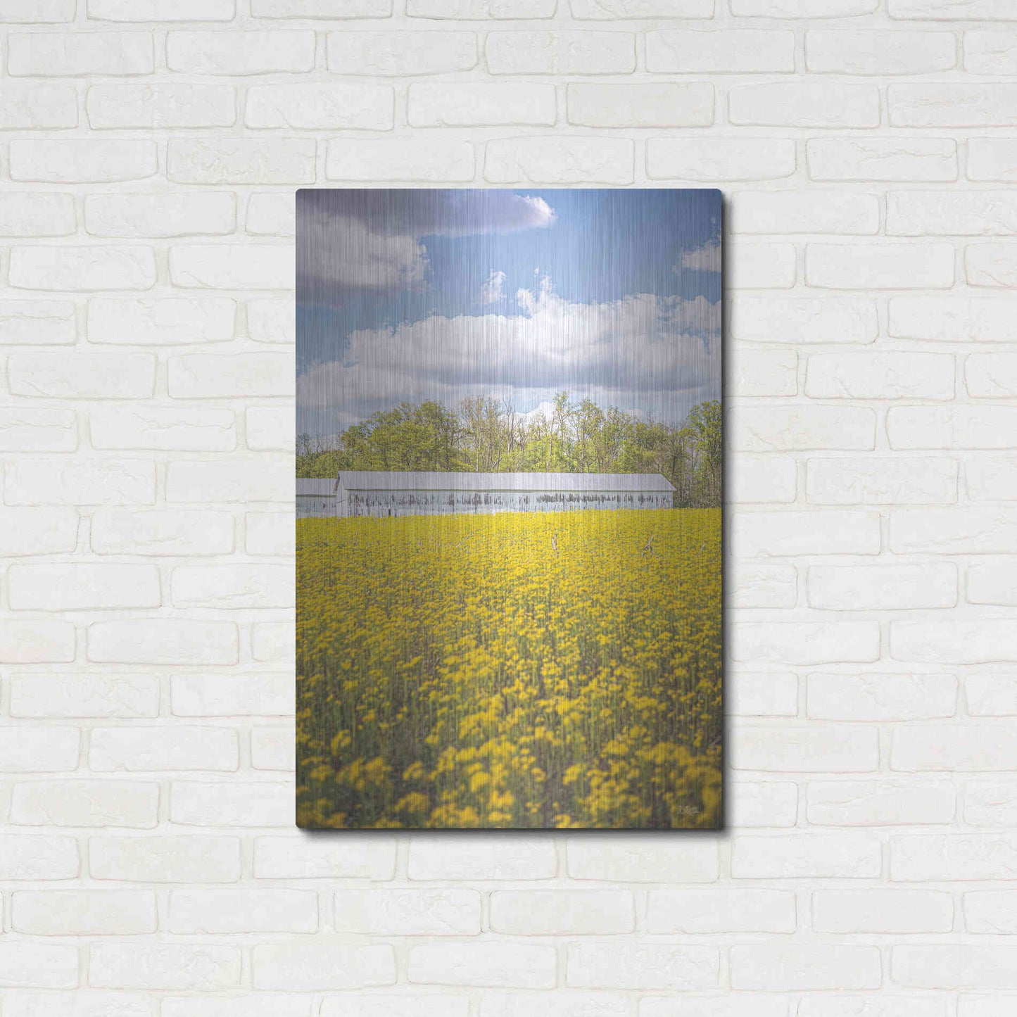 Luxe Metal Art 'Field Of Yellow I' by Donnie Quillen, Metal Wall Art,24x36