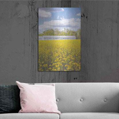 Luxe Metal Art 'Field Of Yellow I' by Donnie Quillen, Metal Wall Art,24x36