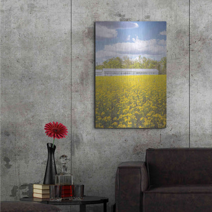 Luxe Metal Art 'Field Of Yellow I' by Donnie Quillen, Metal Wall Art,24x36