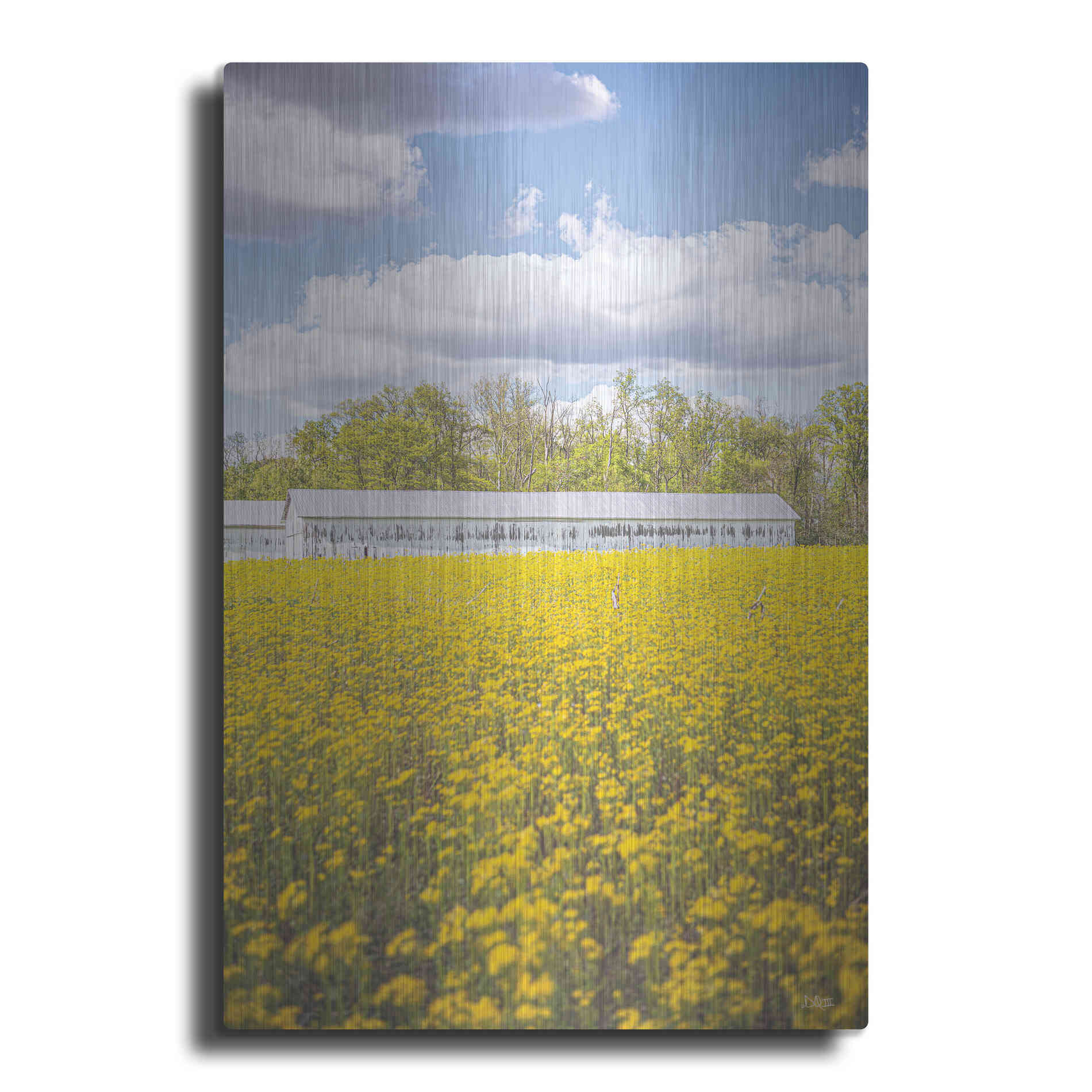 Luxe Metal Art 'Field Of Yellow I' by Donnie Quillen, Metal Wall Art