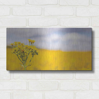Luxe Metal Art 'Field Of Yellow II' by Donnie Quillen, Metal Wall Art,24x12