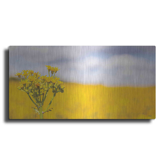 Luxe Metal Art 'Field Of Yellow II' by Donnie Quillen, Metal Wall Art