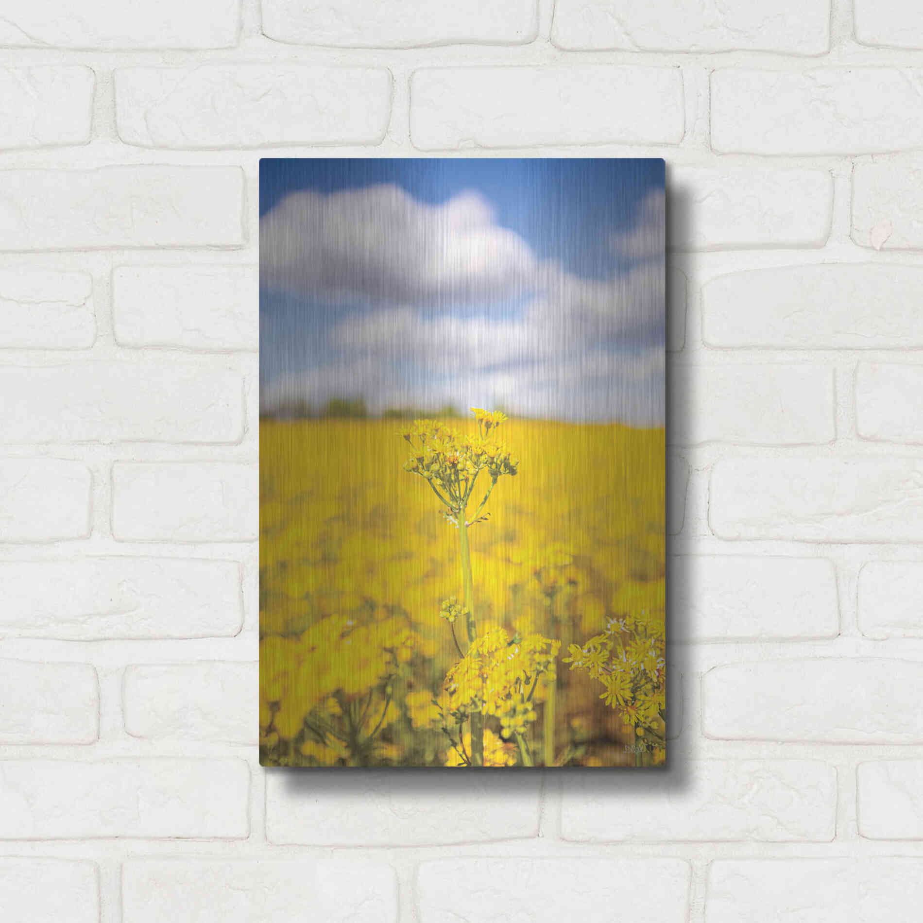 Luxe Metal Art 'Field Of Yellow III' by Donnie Quillen, Metal Wall Art,12x16