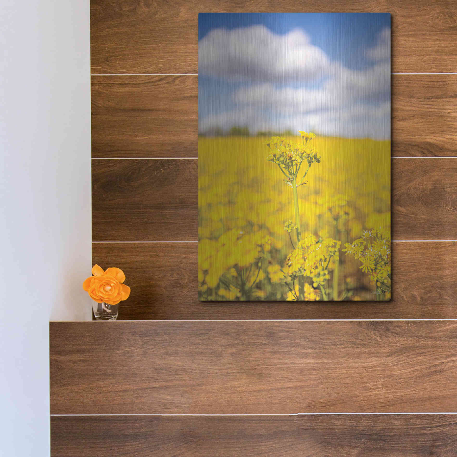 Luxe Metal Art 'Field Of Yellow III' by Donnie Quillen, Metal Wall Art,12x16