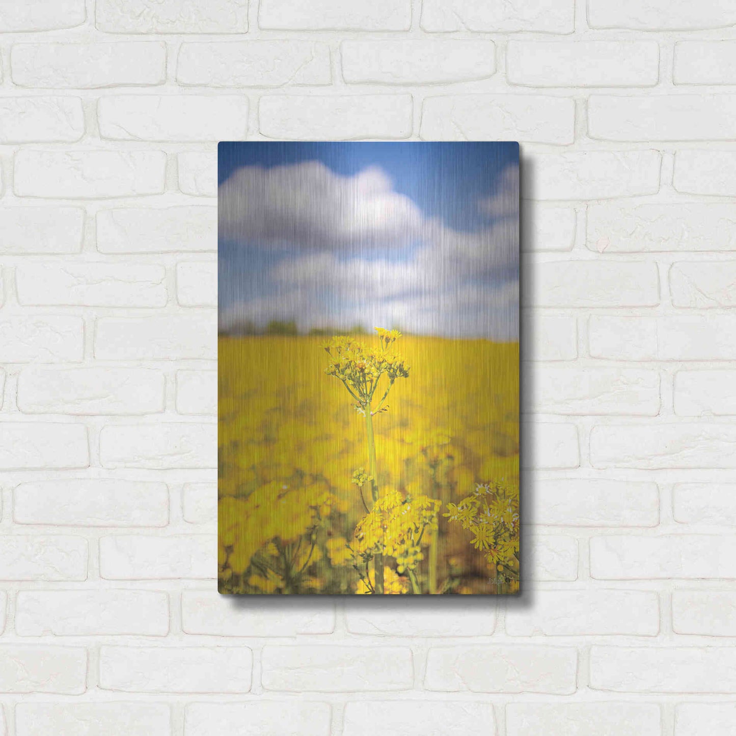Luxe Metal Art 'Field Of Yellow III' by Donnie Quillen, Metal Wall Art,16x24