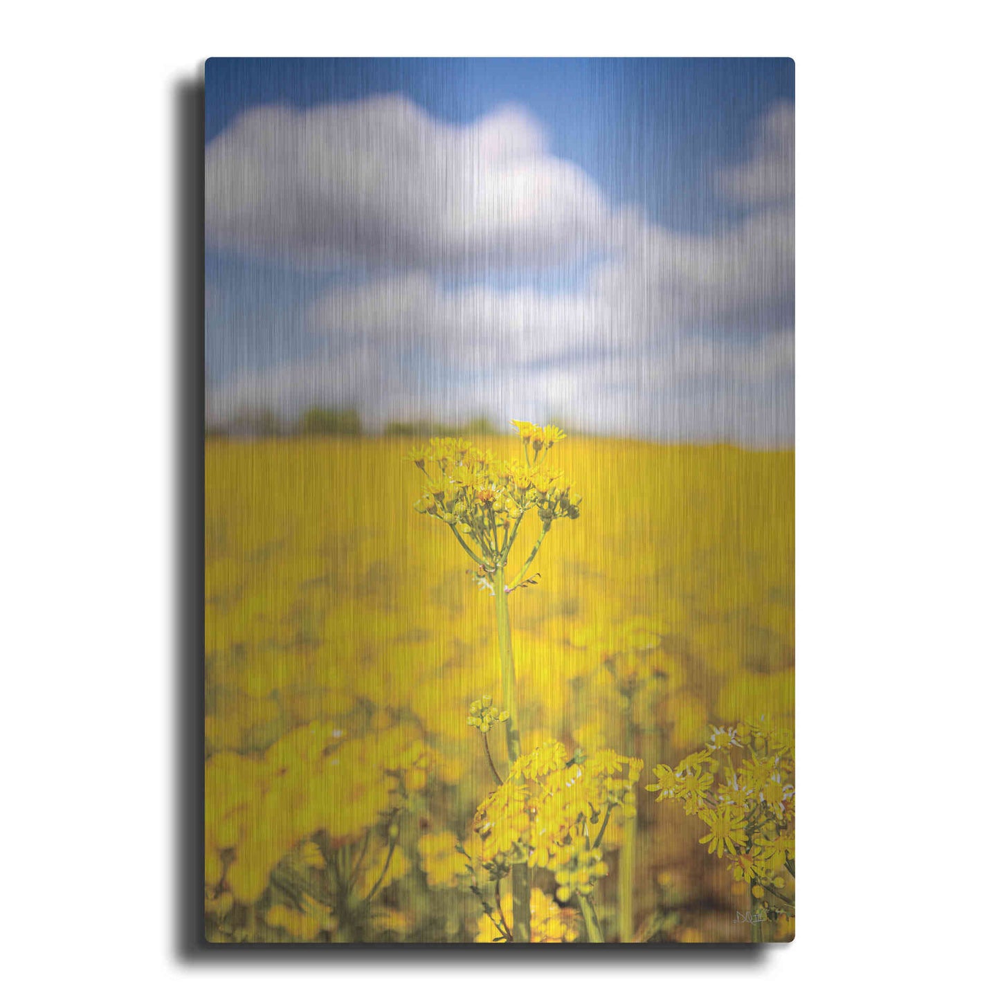 Luxe Metal Art 'Field Of Yellow III' by Donnie Quillen, Metal Wall Art