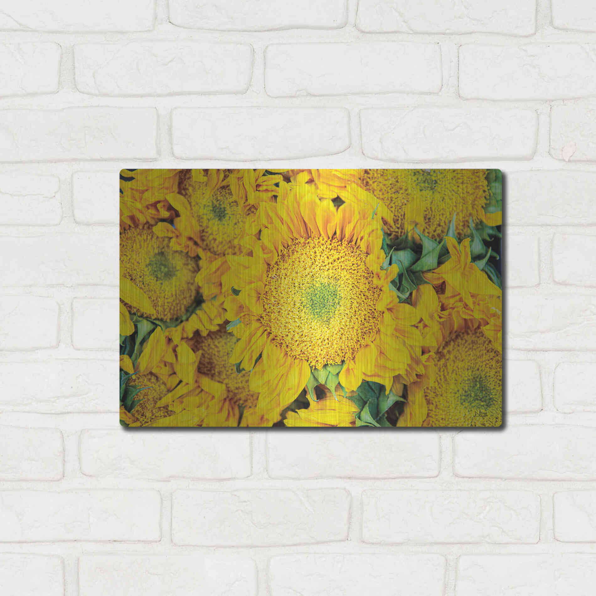 Luxe Metal Art 'Sunflower Summer' by Donnie Quillen, Metal Wall Art,16x12