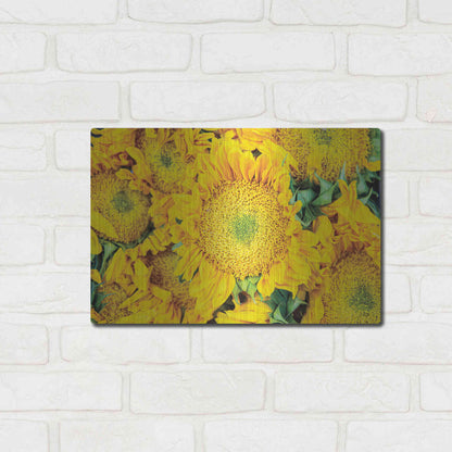 Luxe Metal Art 'Sunflower Summer' by Donnie Quillen, Metal Wall Art,16x12