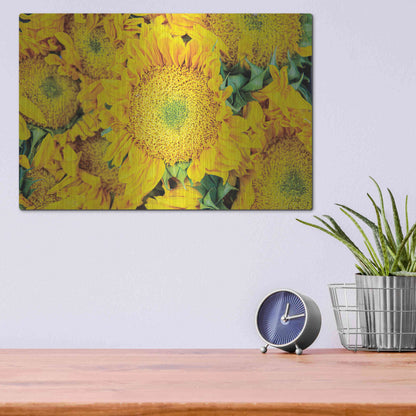 Luxe Metal Art 'Sunflower Summer' by Donnie Quillen, Metal Wall Art,16x12