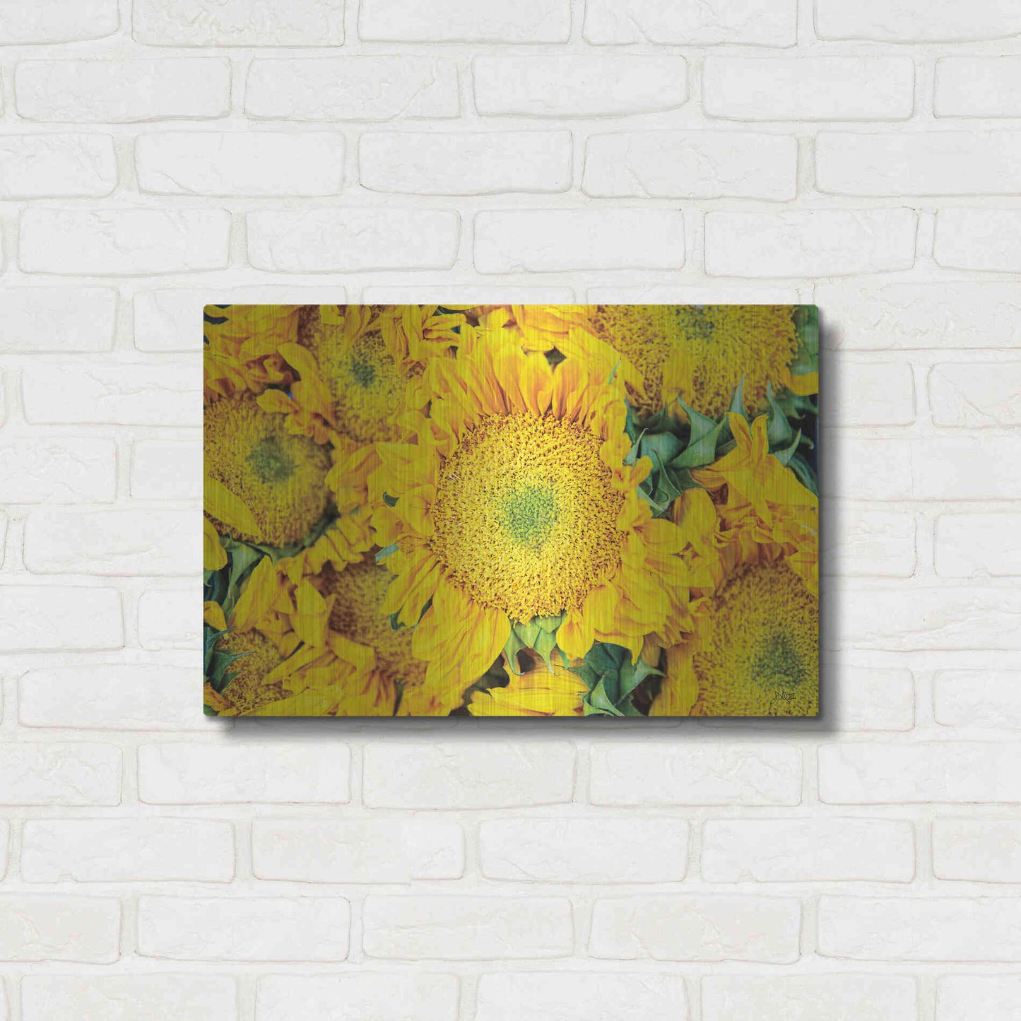 Luxe Metal Art 'Sunflower Summer' by Donnie Quillen, Metal Wall Art,24x16