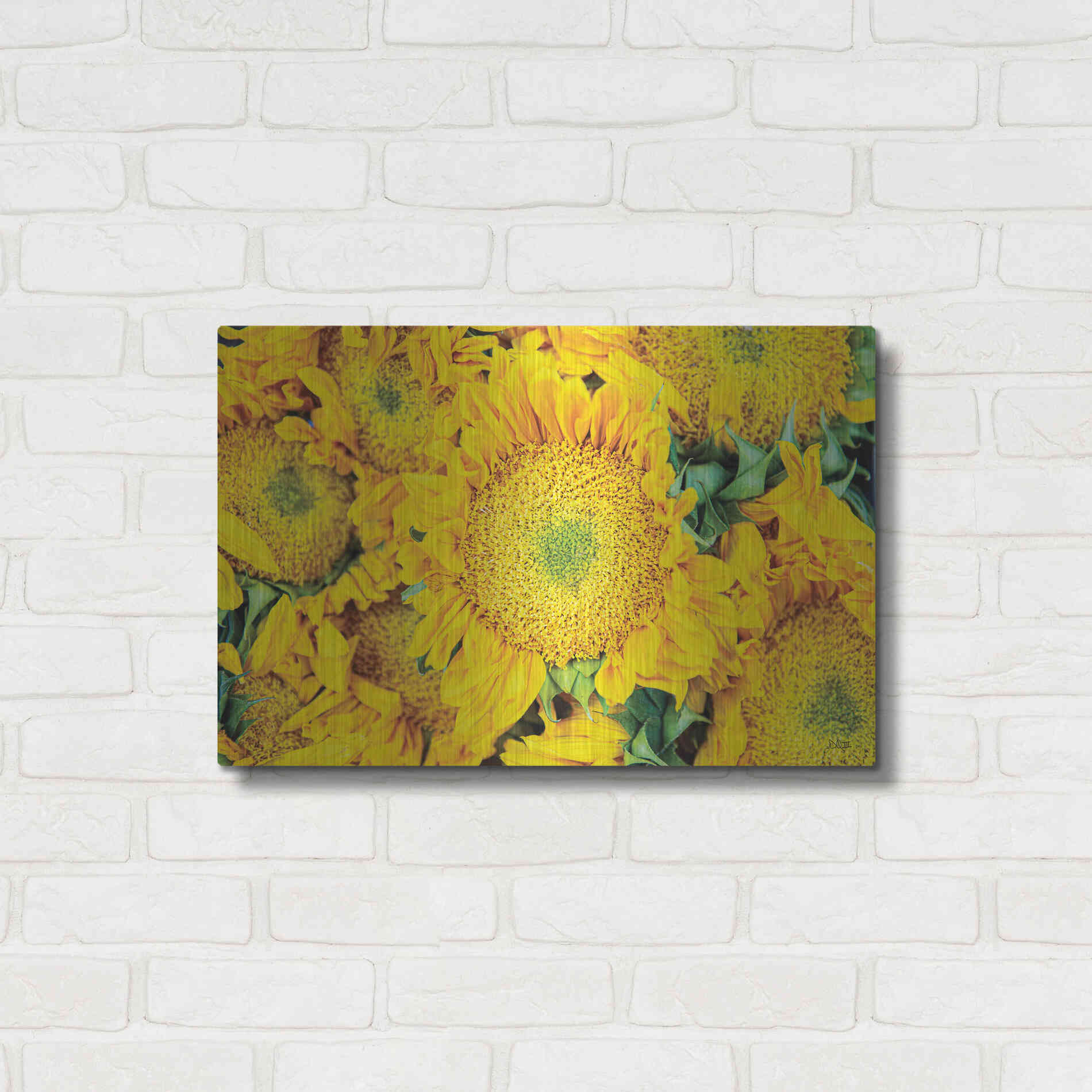 Luxe Metal Art 'Sunflower Summer' by Donnie Quillen, Metal Wall Art,24x16