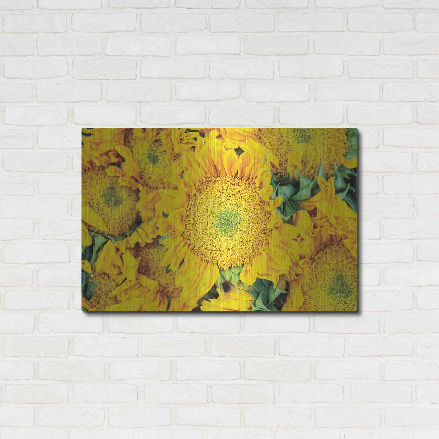 Luxe Metal Art 'Sunflower Summer' by Donnie Quillen, Metal Wall Art,36x24