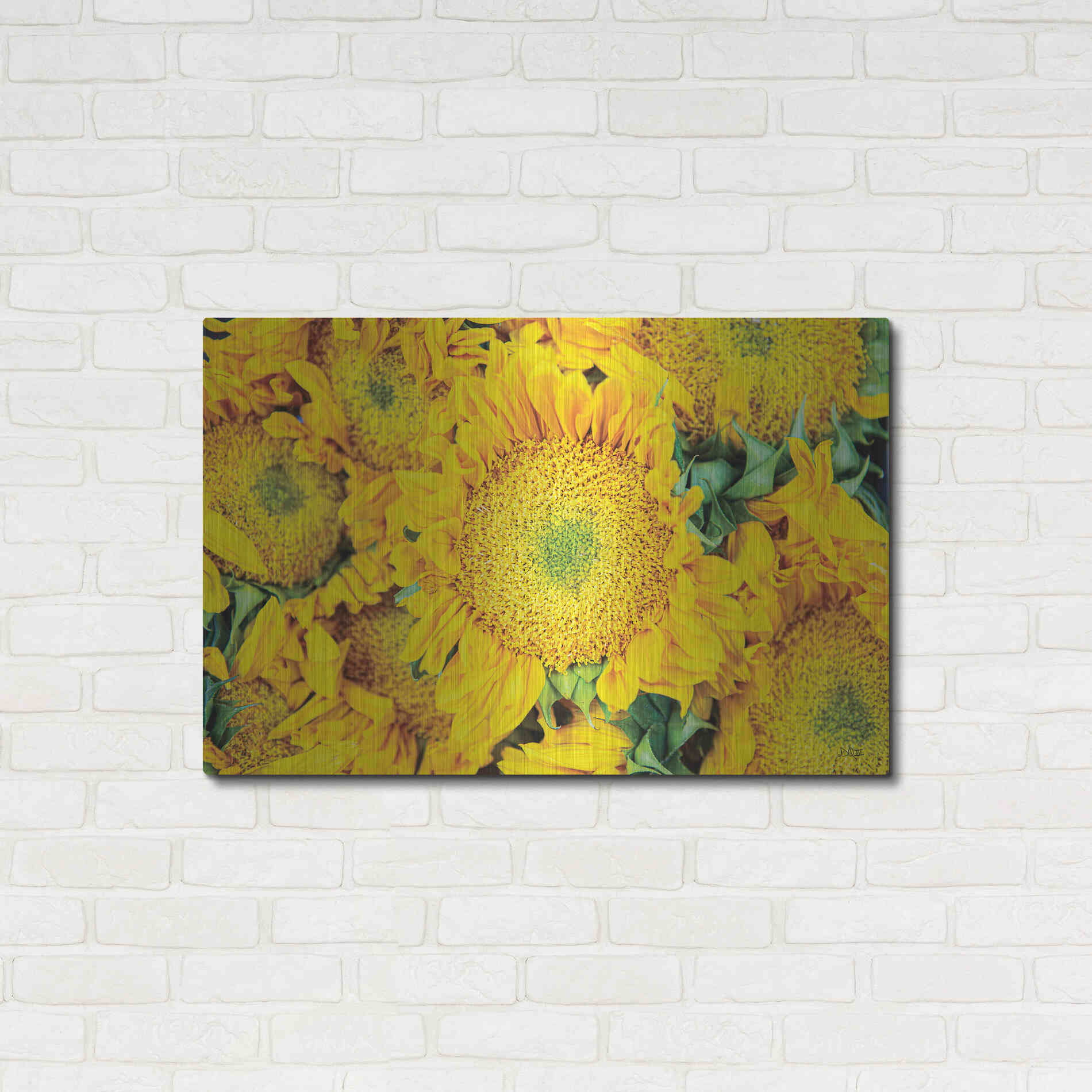 Luxe Metal Art 'Sunflower Summer' by Donnie Quillen, Metal Wall Art,36x24