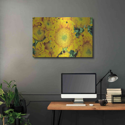 Luxe Metal Art 'Sunflower Summer' by Donnie Quillen, Metal Wall Art,36x24