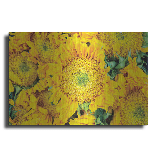 Luxe Metal Art 'Sunflower Summer' by Donnie Quillen, Metal Wall Art