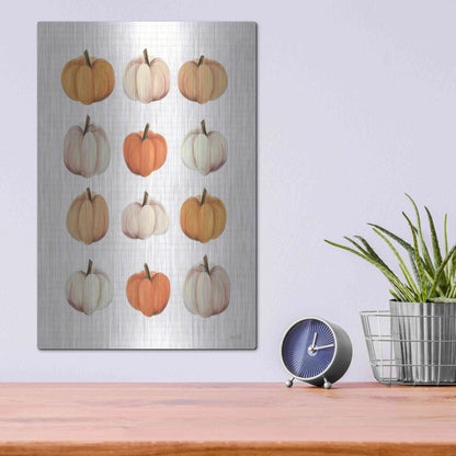 Luxe Metal Art 'Lots Of Pumpkins' by House Fenway, Metal Wall Art,12x16