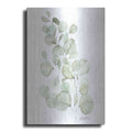 Luxe Metal Art 'Silver Dollar Eucalyptus' by Kelley Talent, Metal Wall Art
