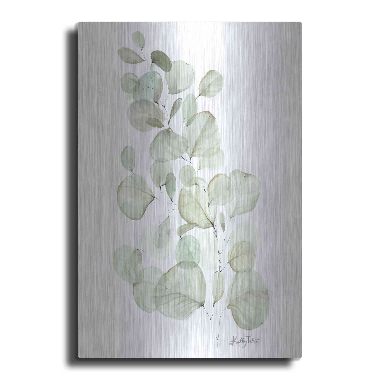 Luxe Metal Art 'Silver Dollar Eucalyptus' by Kelley Talent, Metal Wall Art