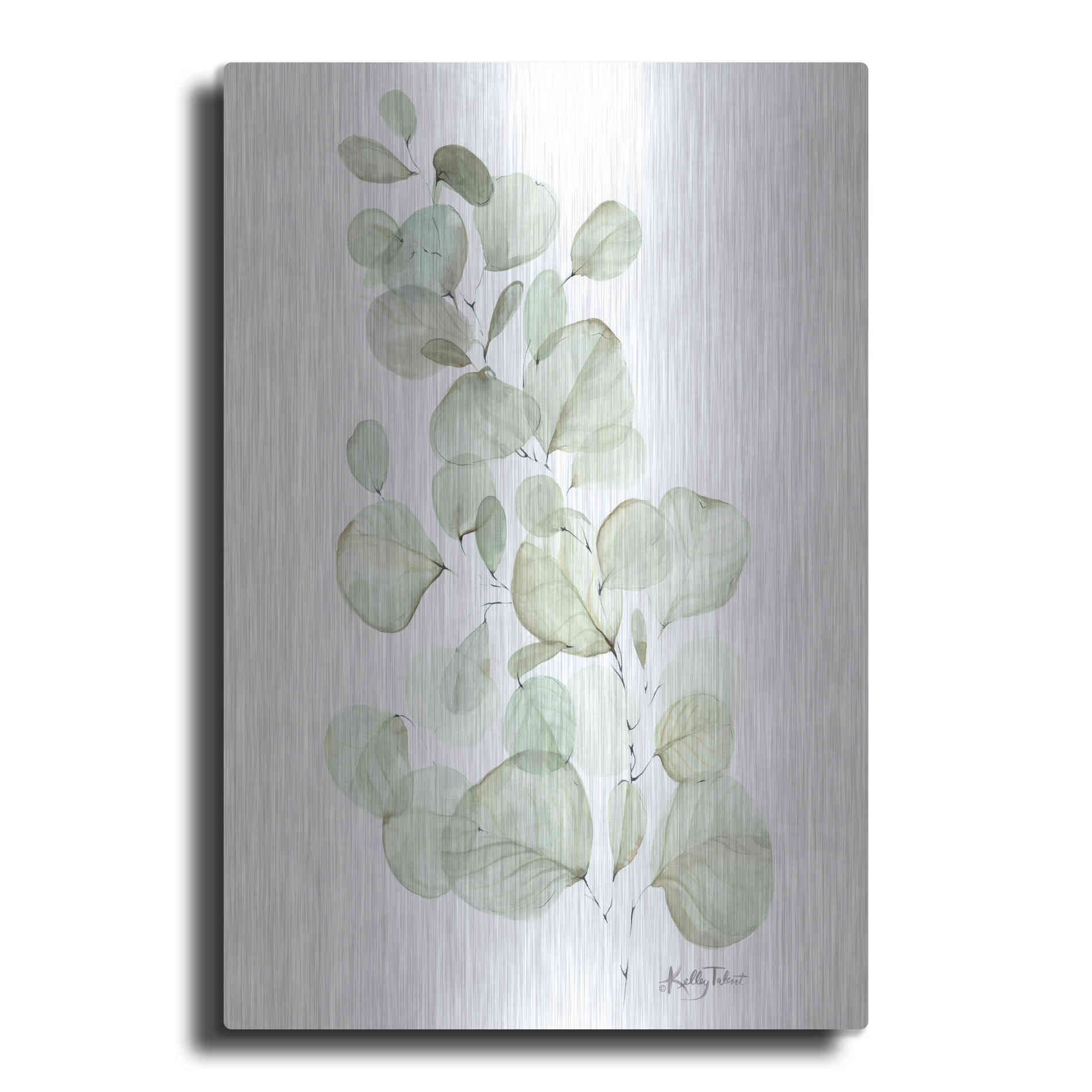 Luxe Metal Art 'Silver Dollar Eucalyptus' by Kelley Talent, Metal Wall Art