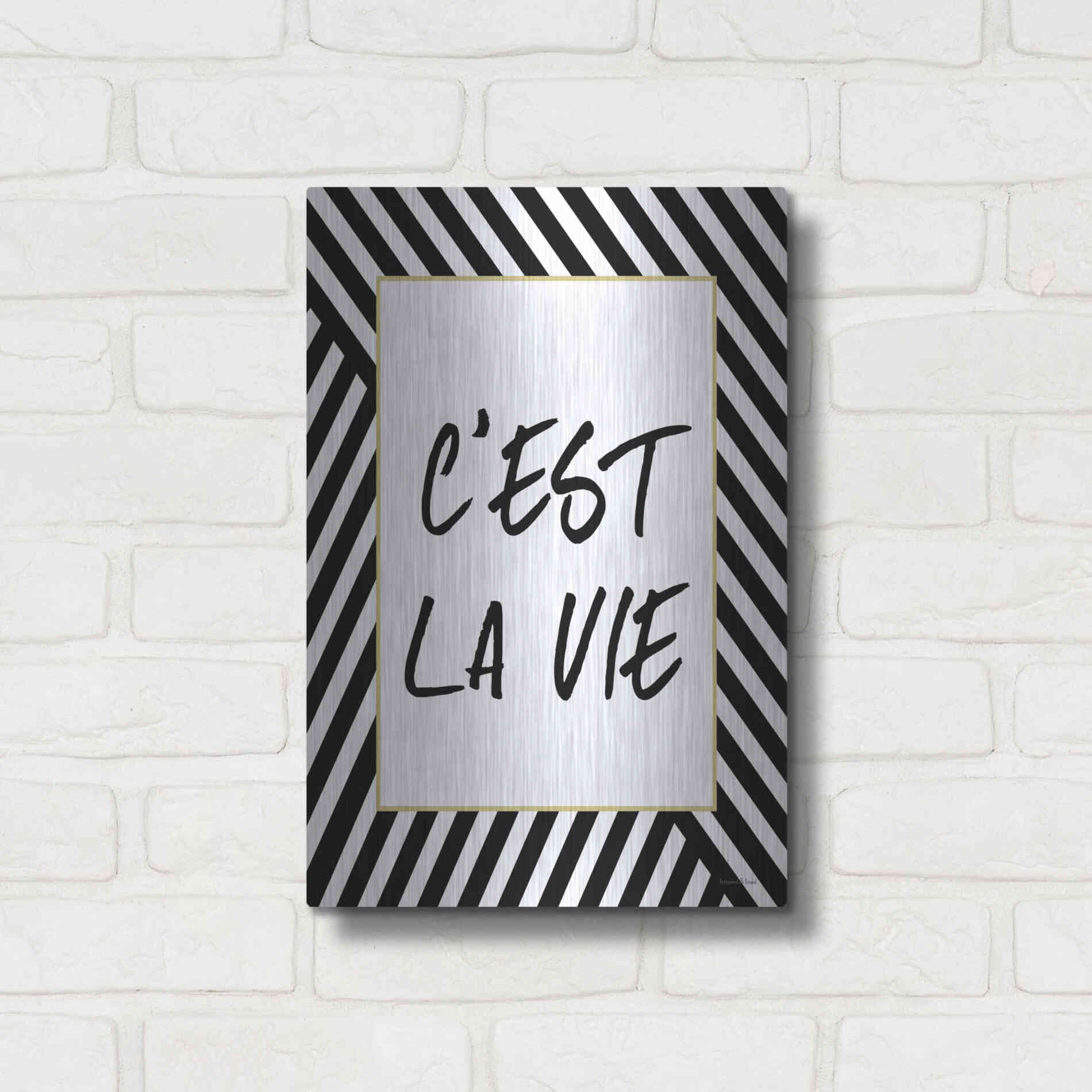 Luxe Metal Art 'C'Est La Vie' by Lettered & Lined, Metal Wall Art,12x16