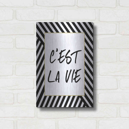 Luxe Metal Art 'C'Est La Vie' by Lettered & Lined, Metal Wall Art,12x16