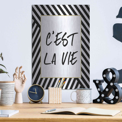 Luxe Metal Art 'C'Est La Vie' by Lettered & Lined, Metal Wall Art,12x16