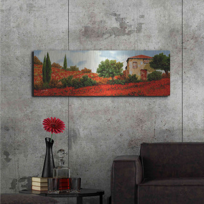 Luxe Metal Art 'Papaveri Sulle Colline' by Guido Borelli, Metal Wall Art,48x16