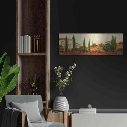 Luxe Metal Art 'Tre Case Tra I Papaveri' by Guido Borelli, Metal Wall Art,36x12