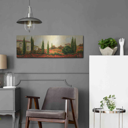 Luxe Metal Art 'Tre Case Tra I Papaveri' by Guido Borelli, Metal Wall Art,36x12