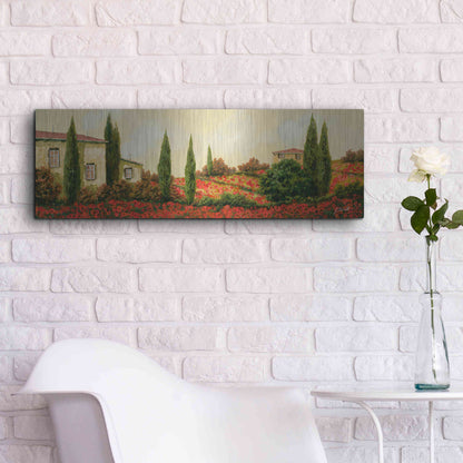 Luxe Metal Art 'Tre Case Tra I Papaveri' by Guido Borelli, Metal Wall Art,36x12