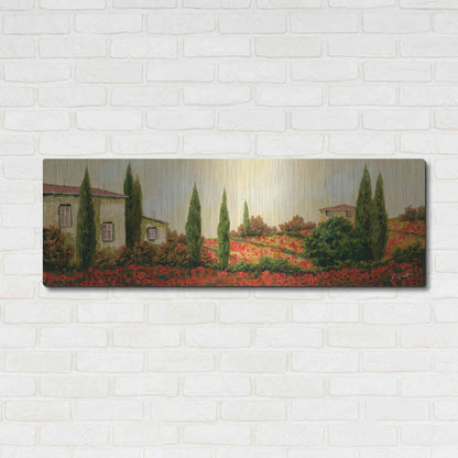 Luxe Metal Art 'Tre Case Tra I Papaveri' by Guido Borelli, Metal Wall Art,48x16