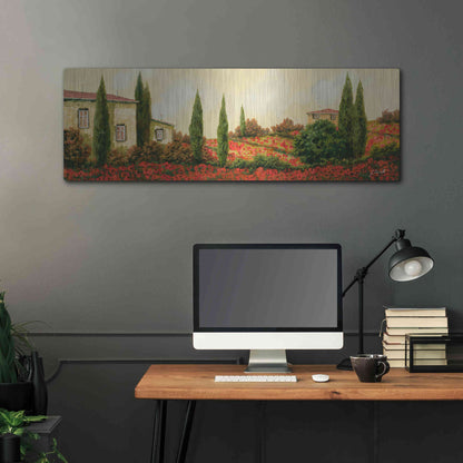 Luxe Metal Art 'Tre Case Tra I Papaveri' by Guido Borelli, Metal Wall Art,48x16